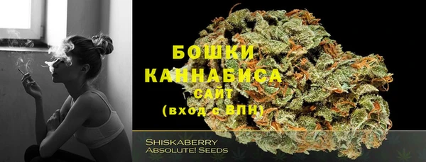 дурь Гусь-Хрустальный