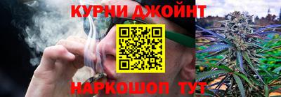 гидра Кимры