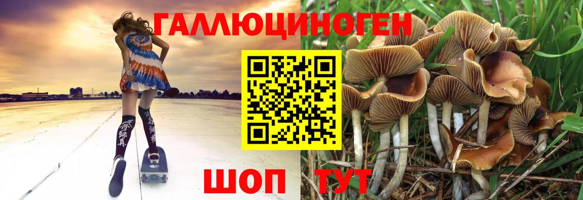 Псилоцибиновые грибы мухоморы Осинники